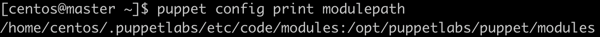 Puppet print modulepath